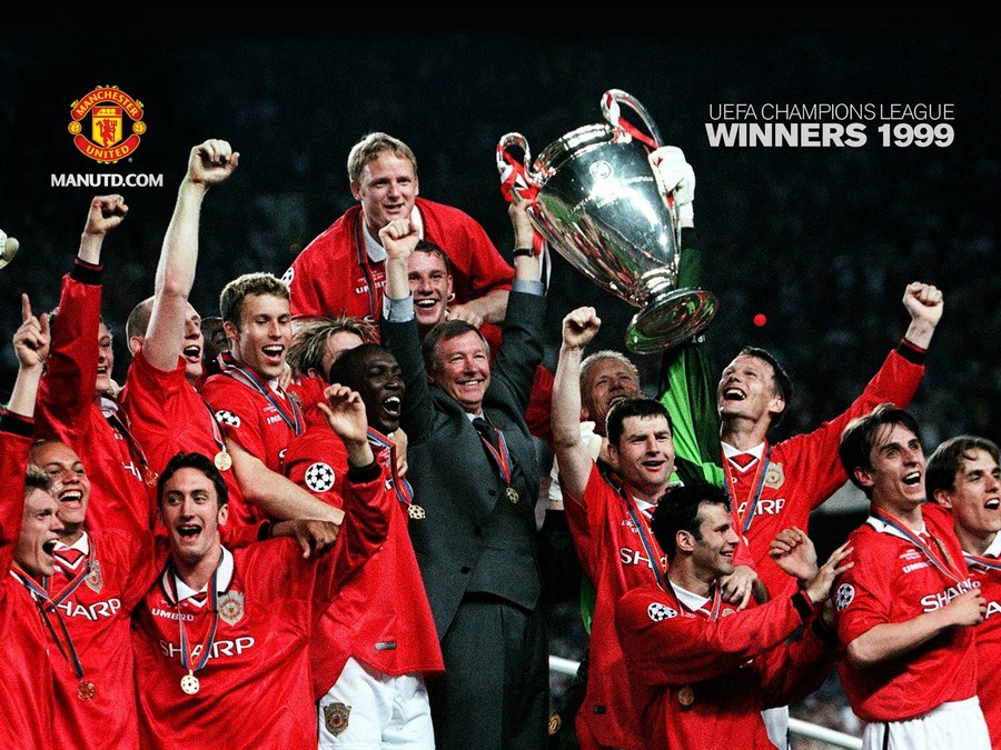 場內維斯 場內維斯